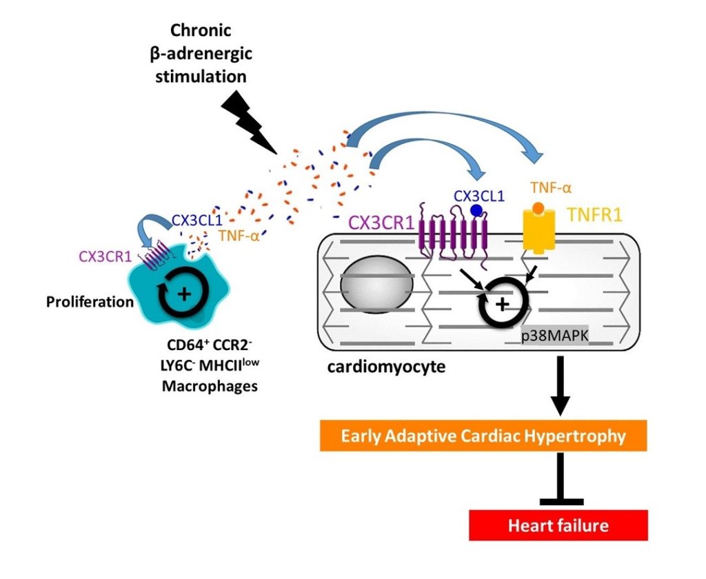 EQ3-Theme4-CP-UMRS1166