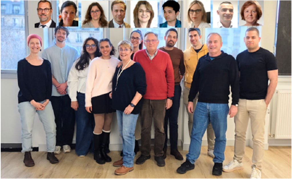 Equipe 5 Fabienne FOUFELLE UMRS 1166